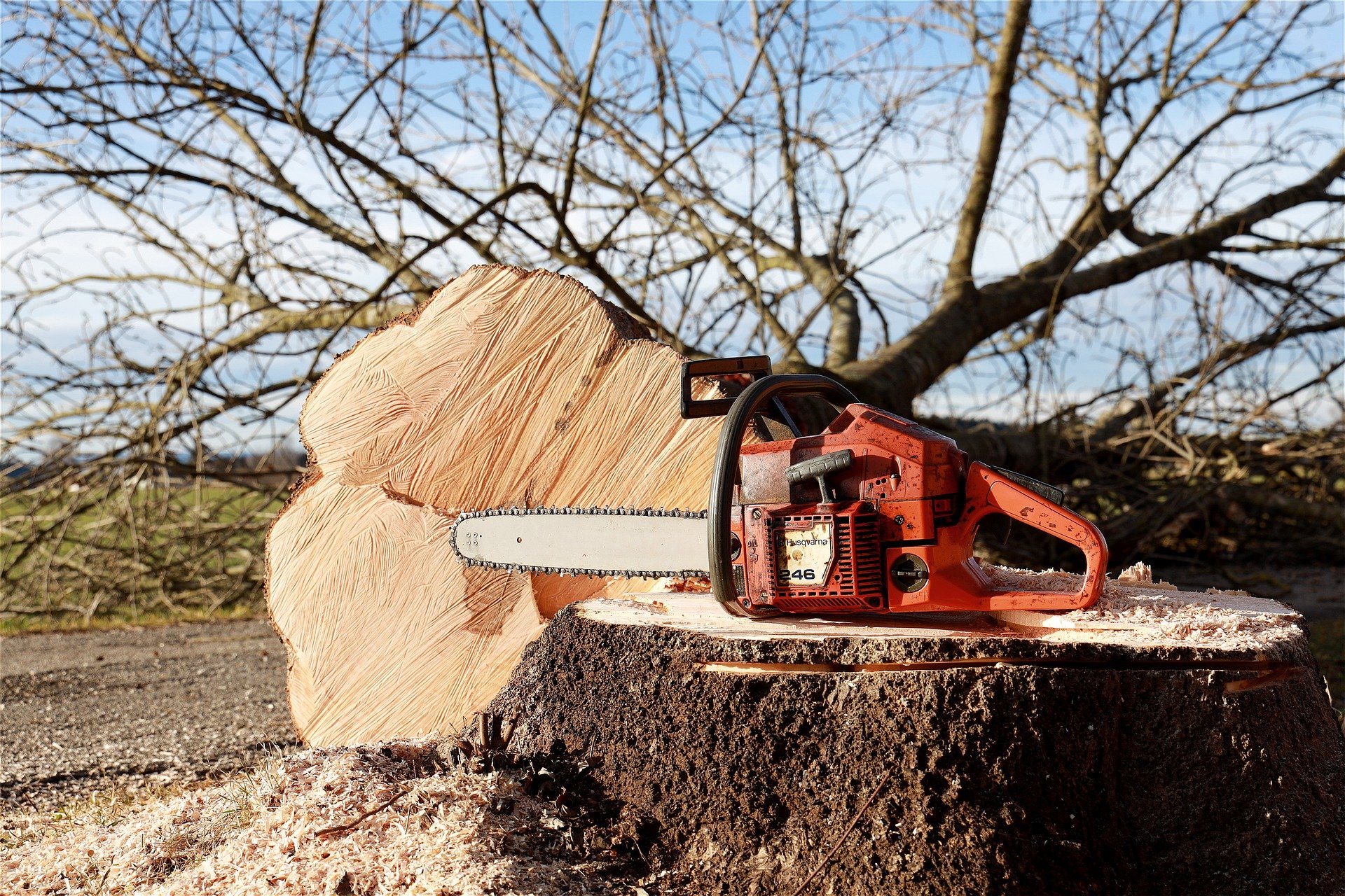 Baumarbeiten & Forstliche Dienstleistungen