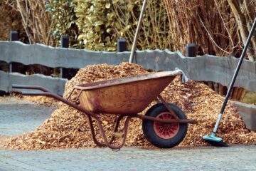 Schubkarre mit organischem Material zum Garten mulchen im Herbst