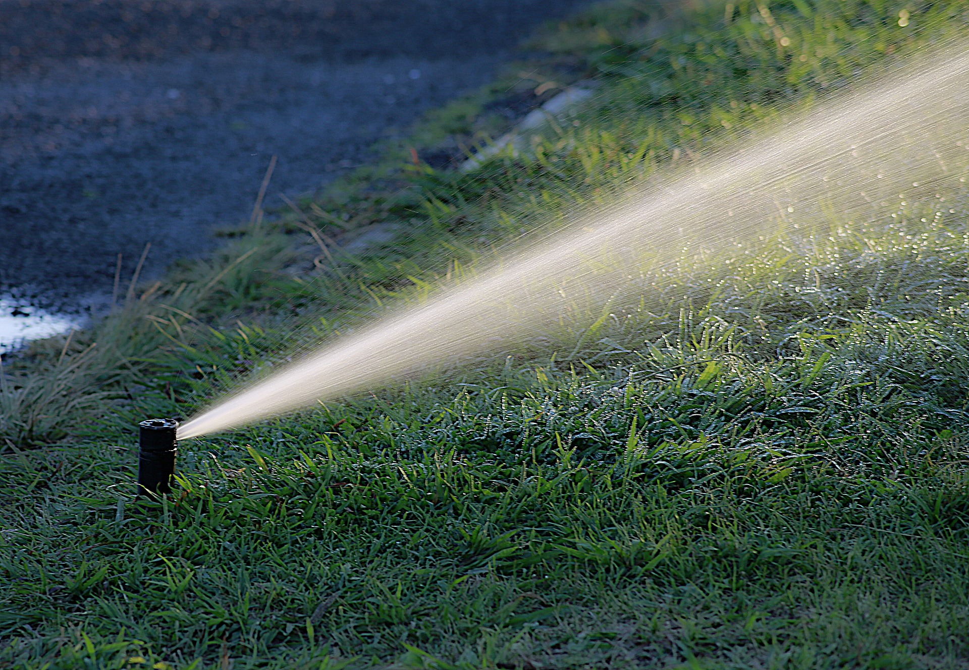 Automatische Gartenbewsserung: Vor- und Nachteile