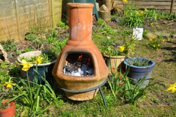 Der perfekte Garten für heiße und trockene Sommer_Bild